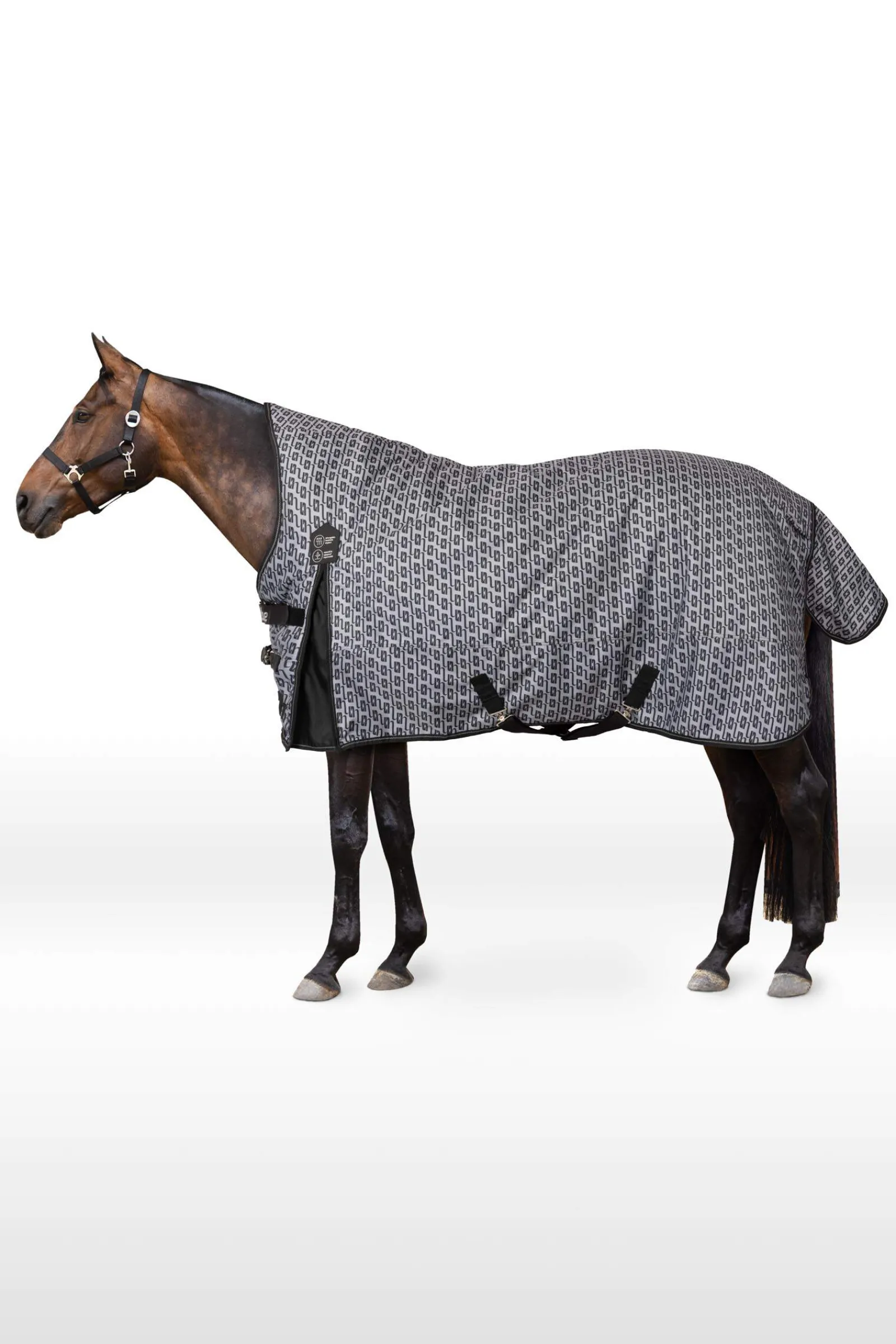 New Avalanche Winter Rug 300g Medium & Heavyweight Turnout Rugs