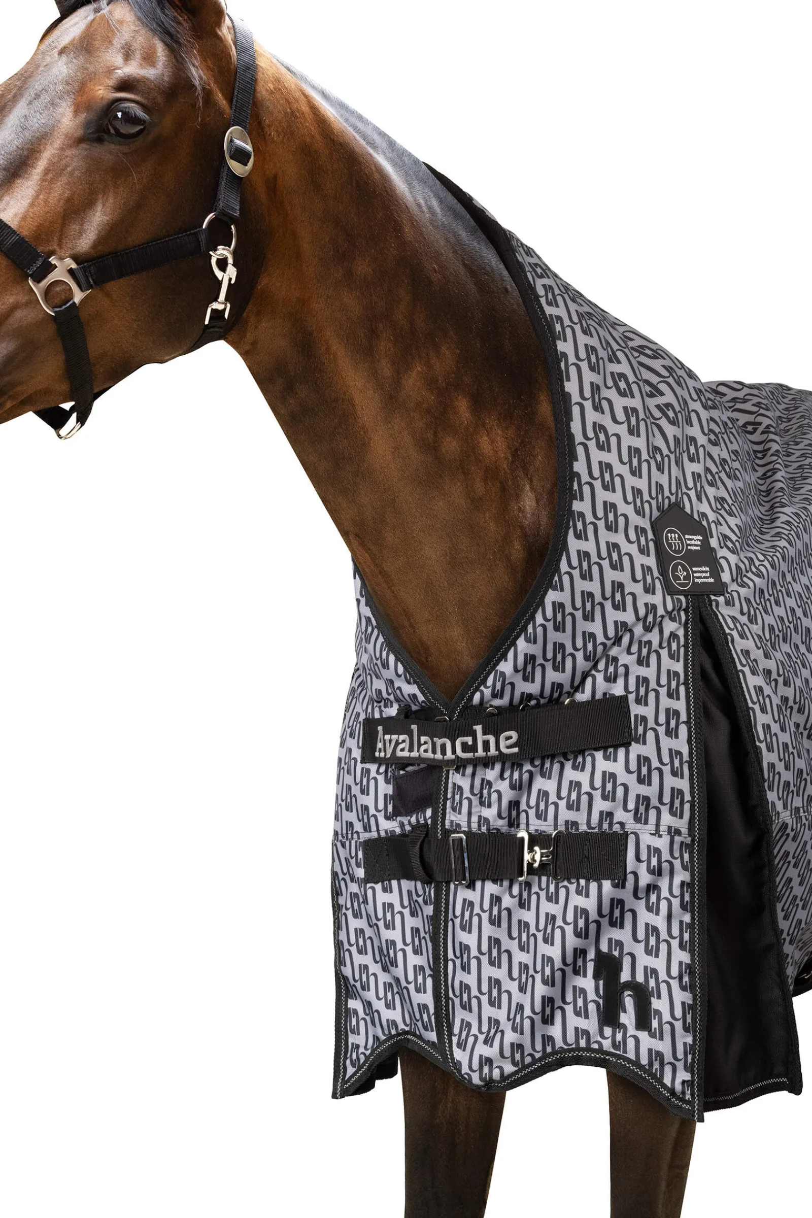 New Avalanche Winter Rug 300g Medium & Heavyweight Turnout Rugs