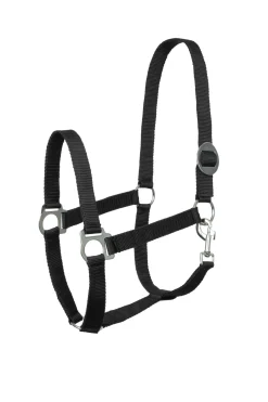 New Basic Halter Headcollars & Halters