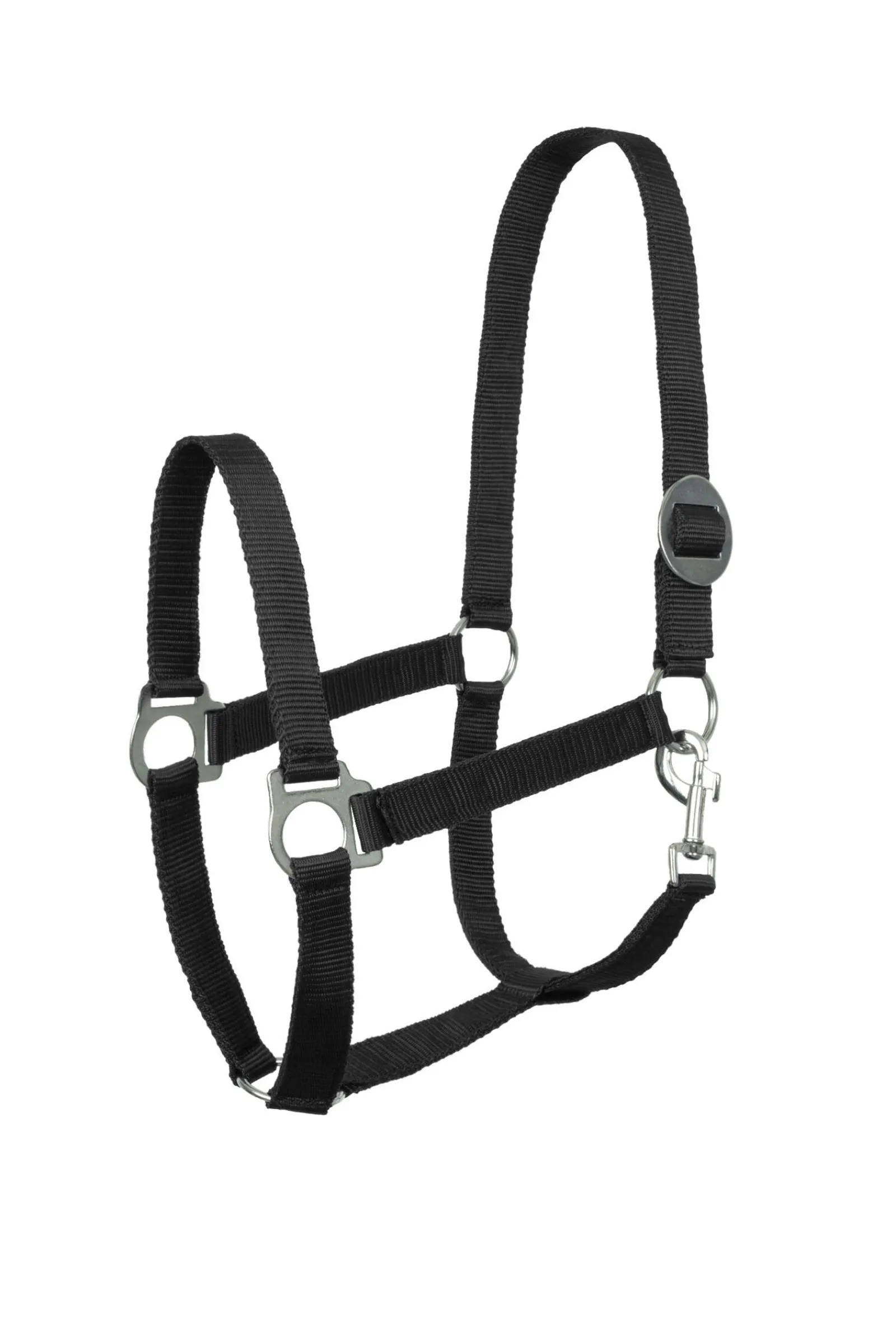 New Basic Halter Headcollars & Halters
