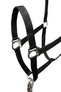 Clearance Basic Halter & Panic Hook Lead Headcollars & Halters