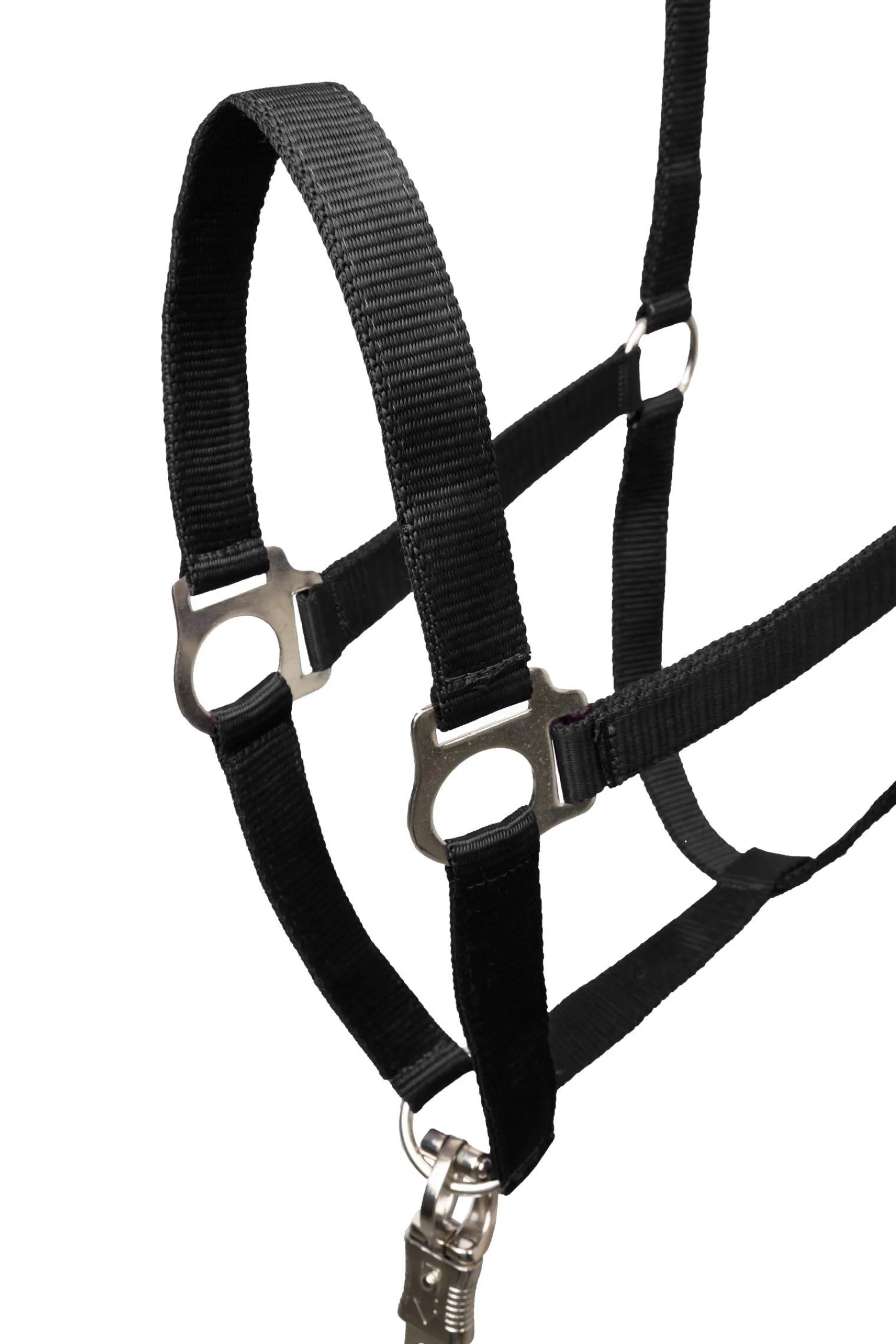 Clearance Basic Halter & Panic Hook Lead Headcollars & Halters