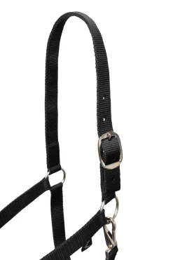 Clearance Basic Halter & Panic Hook Lead Headcollars & Halters