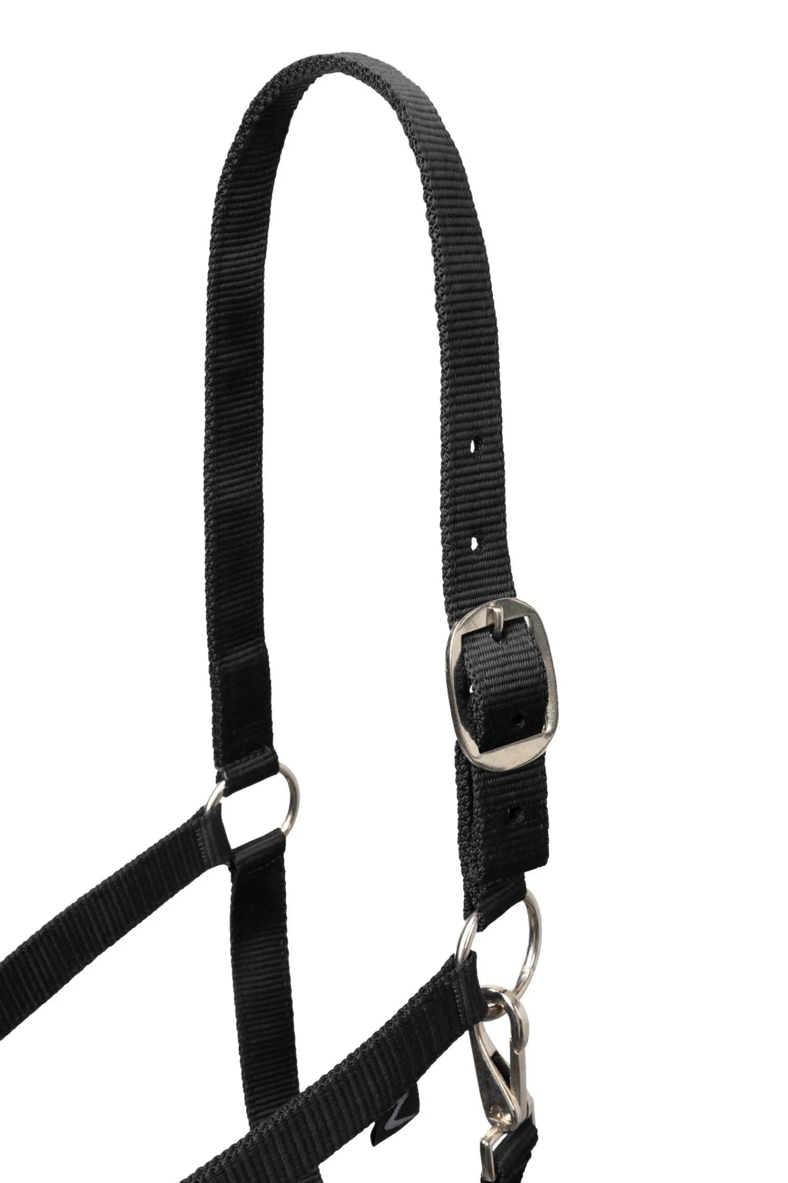 Clearance Basic Halter & Panic Hook Lead Headcollars & Halters