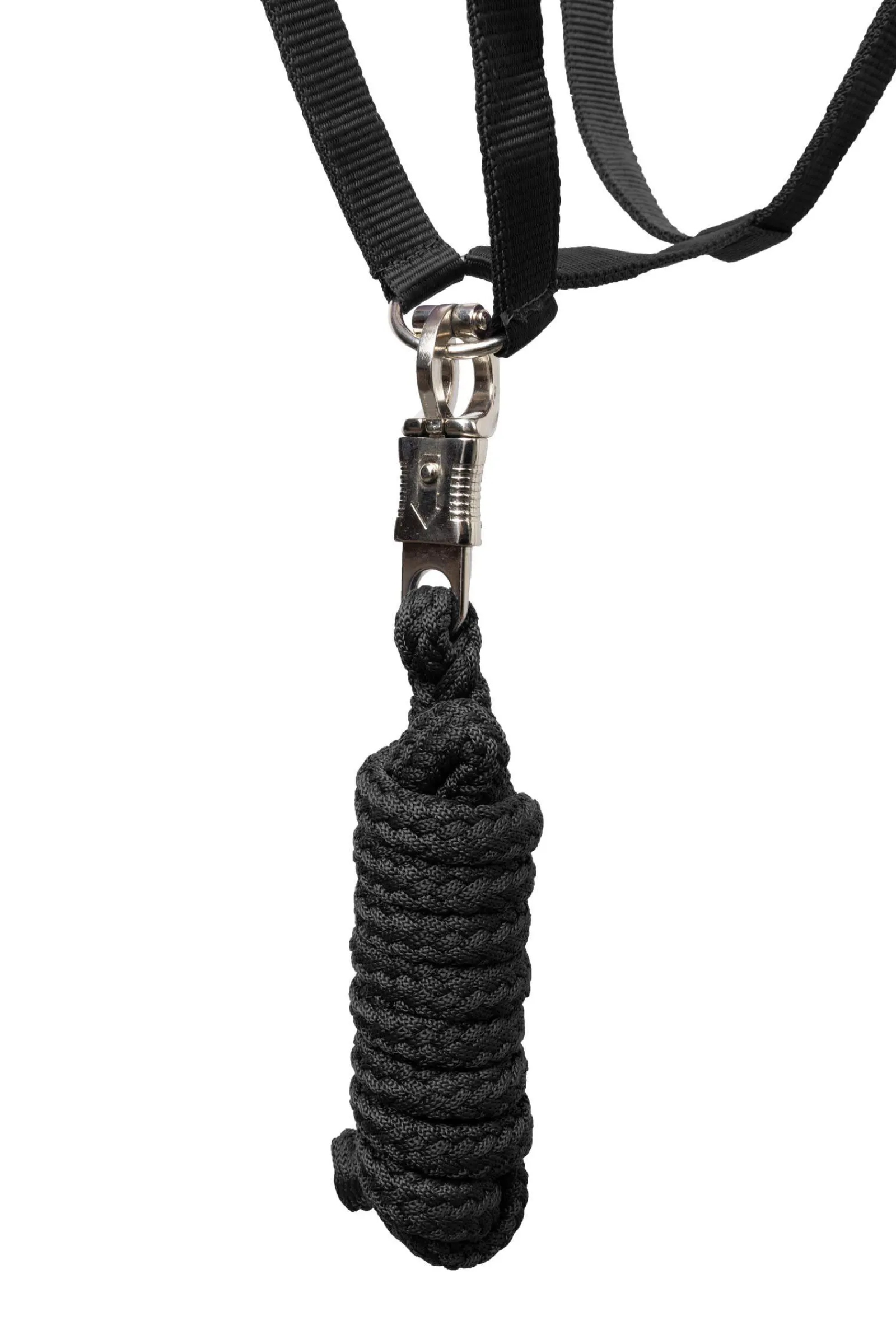 Clearance Basic Halter & Panic Hook Lead Headcollars & Halters