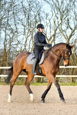 Online Brushing Boots Horse Boots