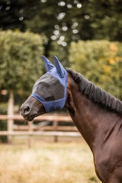 Discount Cayman Fly Mask Fly Masks & Fringes|Fly Masks & Fringes