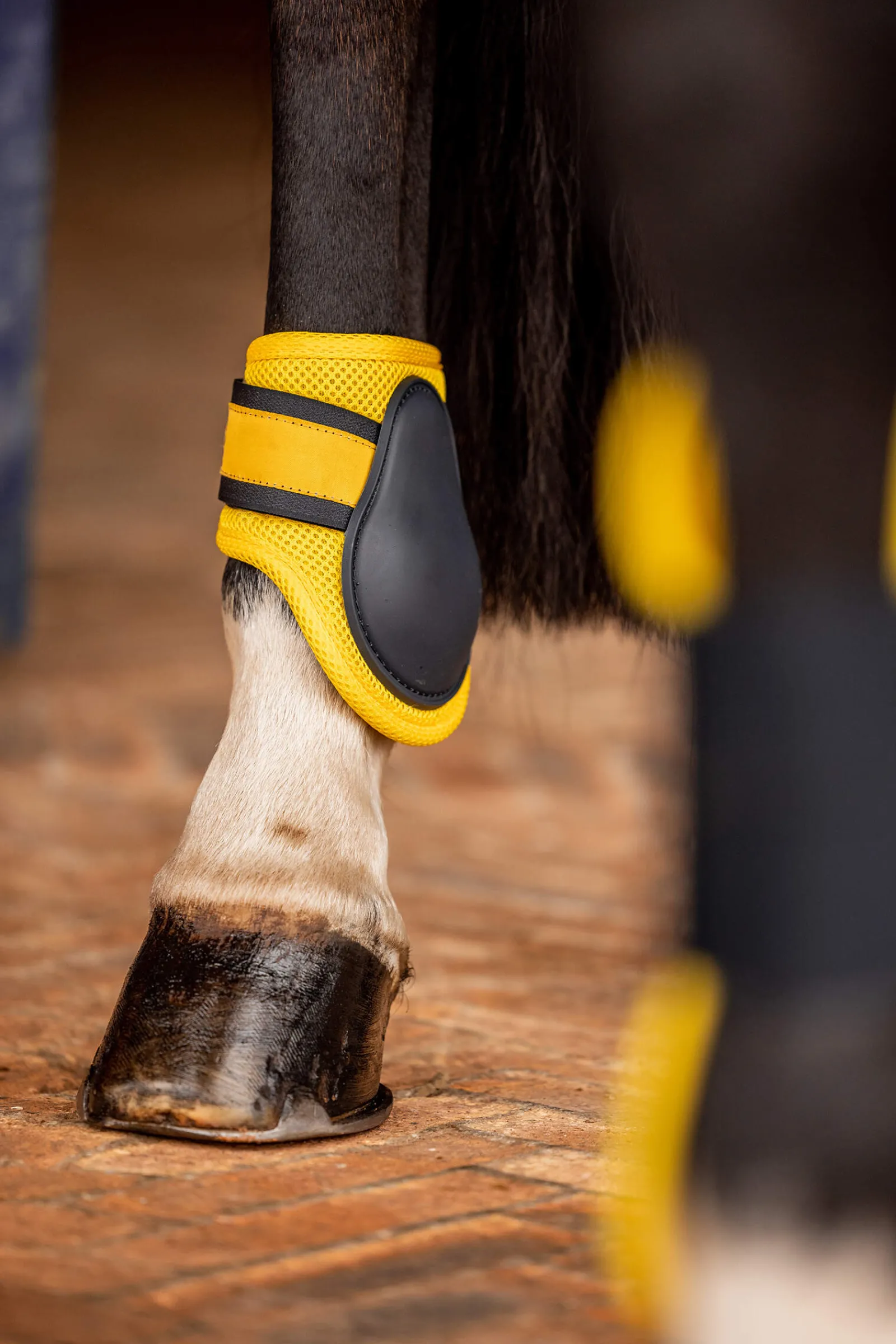 Sale Chicago 2.0 Fetlock Boots Fetlock Boots