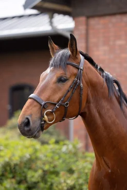 Sale Chio Bridle Pony Bridles & Halters|Bridles & Nosebands