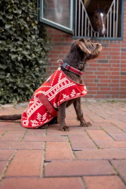 Clearance Christmas dog sweater Dog Rugs & Coats