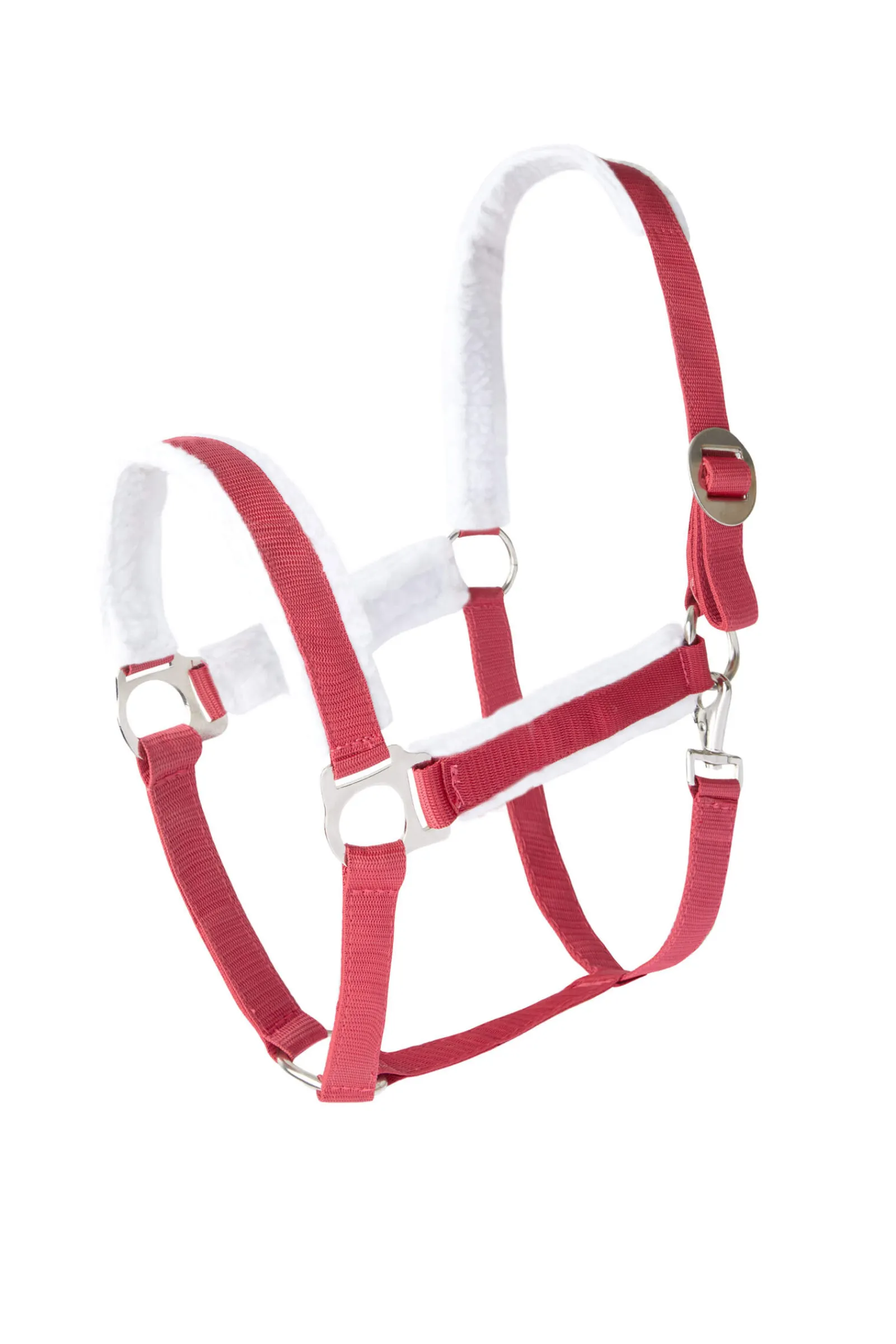 New Christmas halter Headcollars & Halters