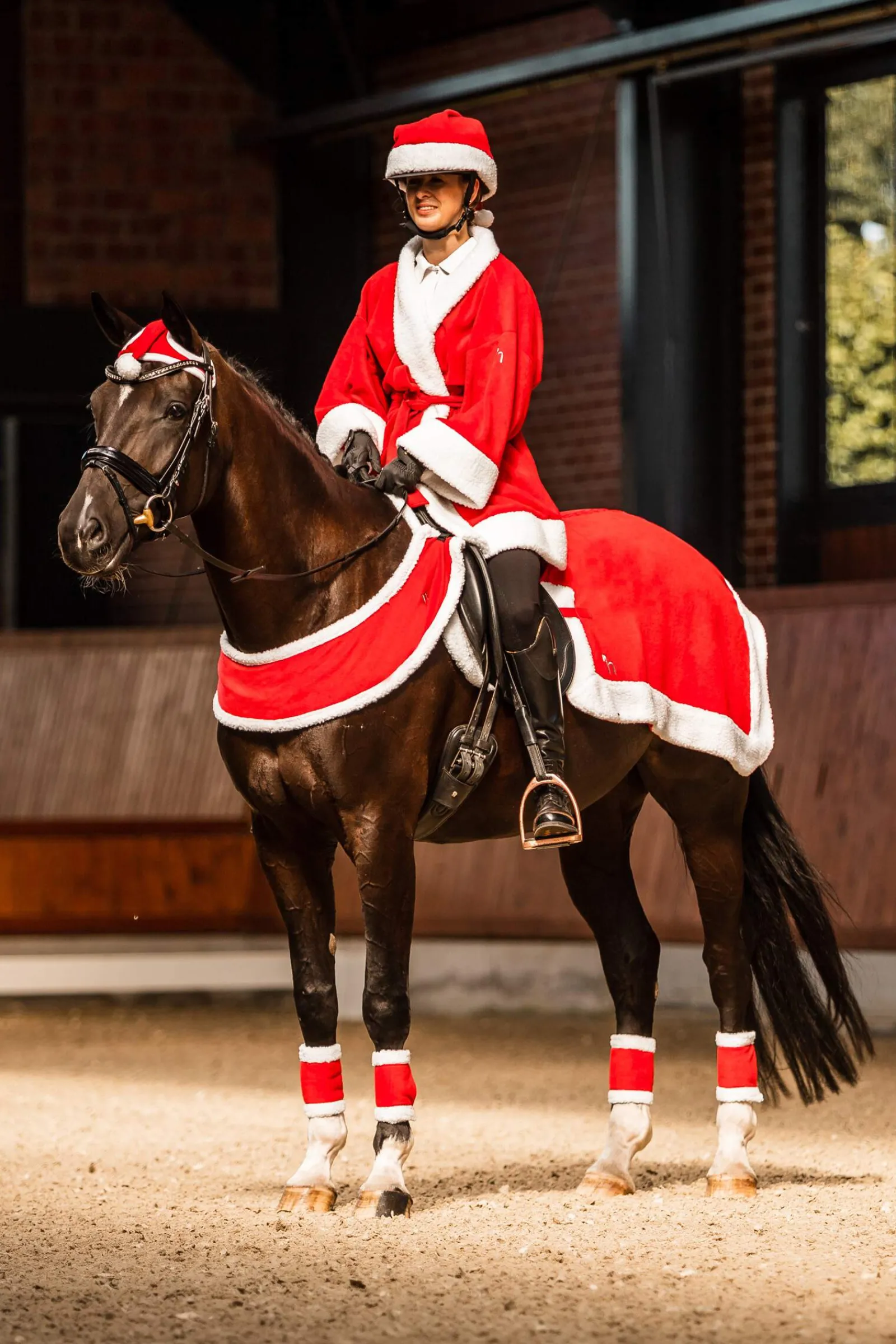 Online Christmas Riding rug Exercise Sheets & Quarter Sheets