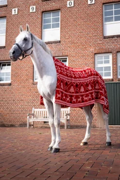 Clearance Christmas Throw Horse Rug Accessories|Fleece Horse Rugs & Cooler Rugs