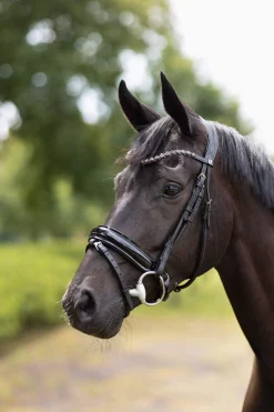 New Clermont Anatomic Bridle Women Pony Bridles & Halters|Bridles & Nosebands