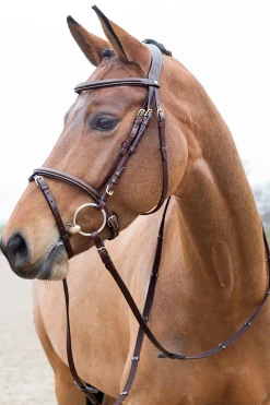 Fashion Constance Padded Flash Bridle Bridles & Nosebands