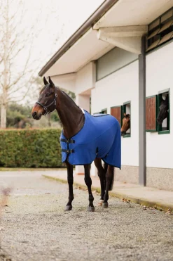 Hot Cooling Mesh Rug Fleece Horse Rugs & Cooler Rugs