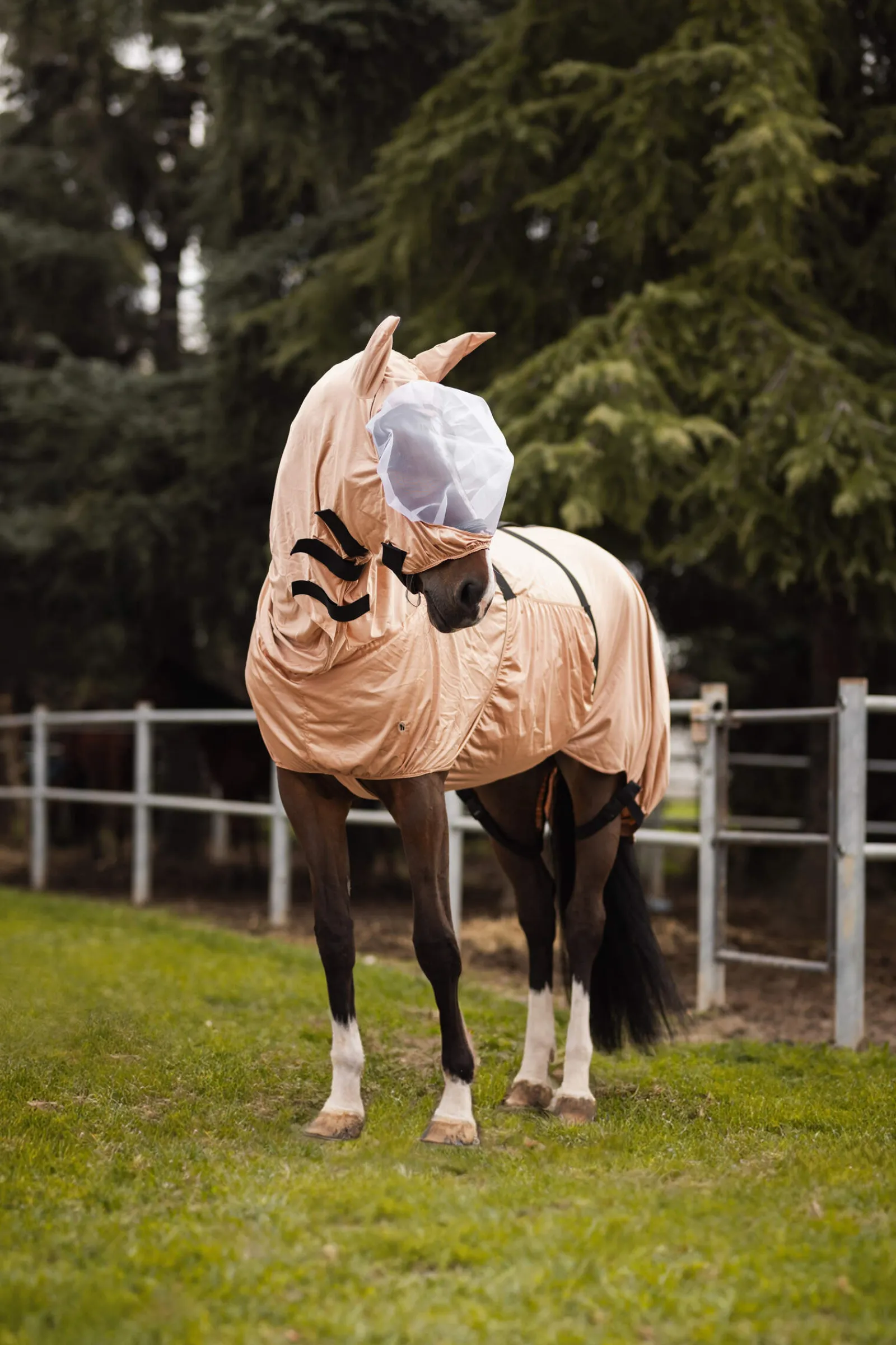 Clearance Cover Eczema Hood Sweet Itch Rugs|Sweet Itch Rugs