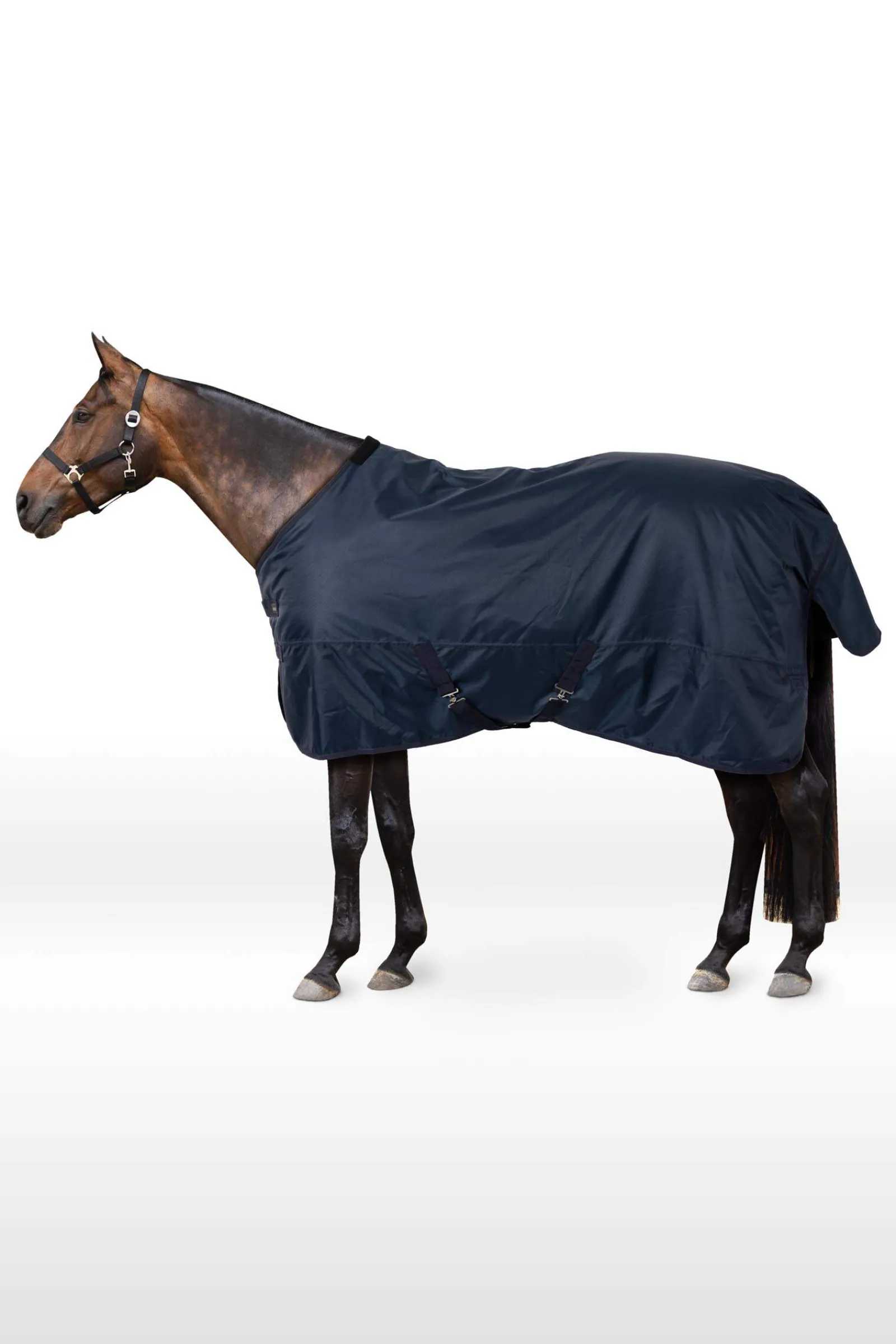 New 840D Turnout Rug, 200g Medium & Heavyweight Turnout Rugs
