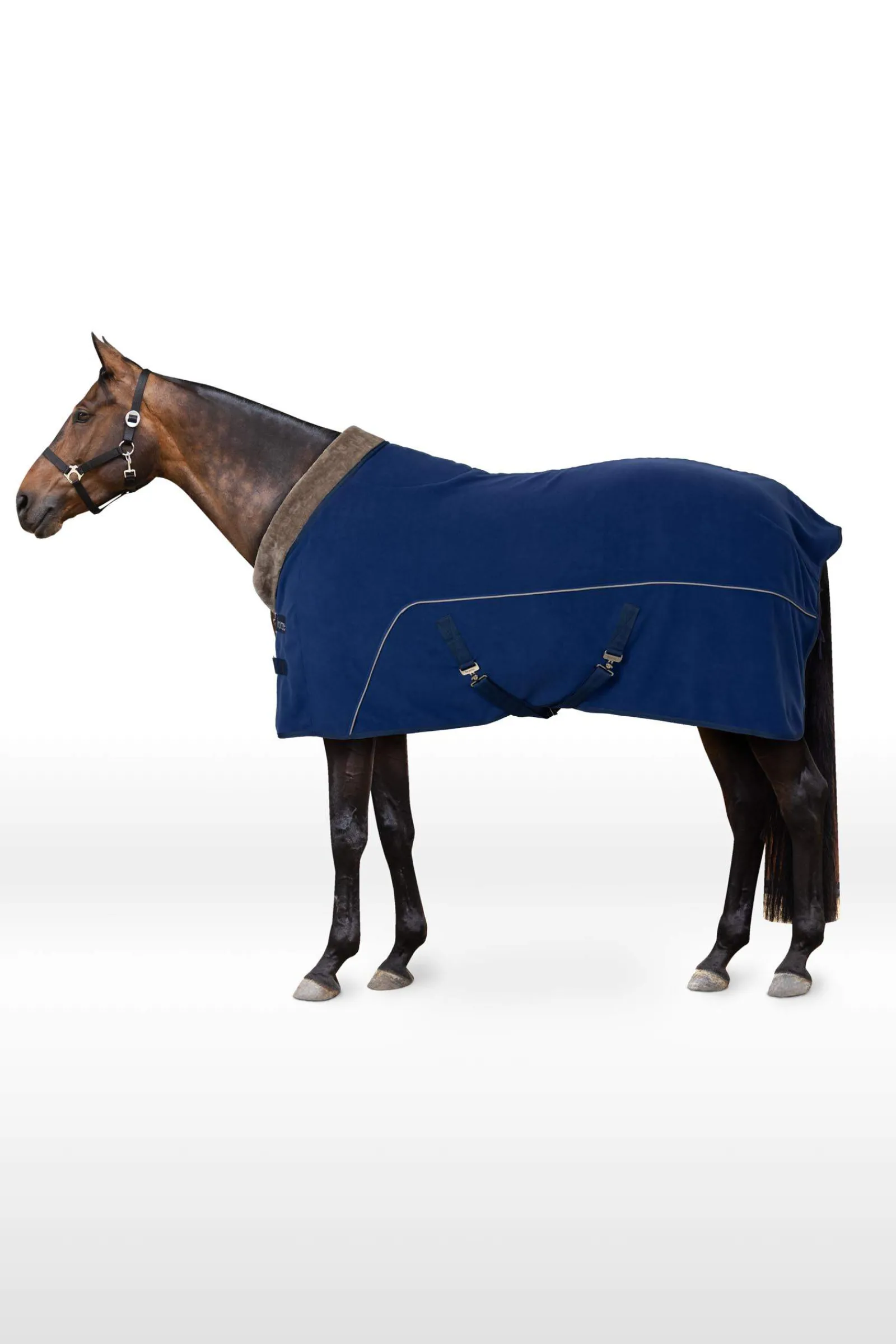 Fashion Delémont Fleece cooler Fleece Horse Rugs & Cooler Rugs