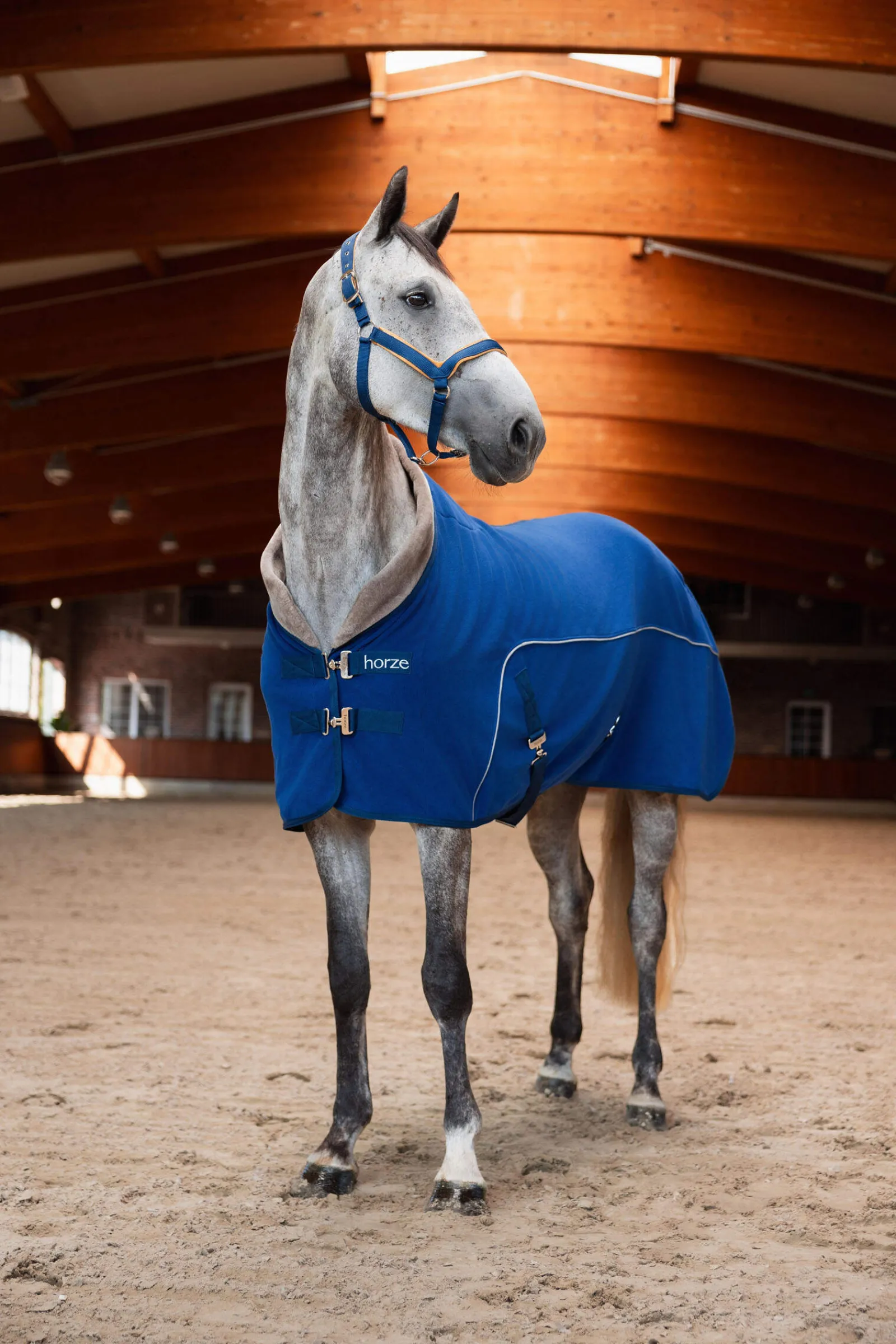 Fashion Delémont Fleece cooler Fleece Horse Rugs & Cooler Rugs