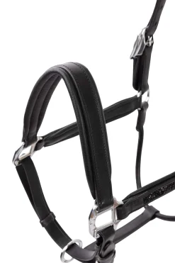 Hot Delémont Leather halter Headcollars & Halters