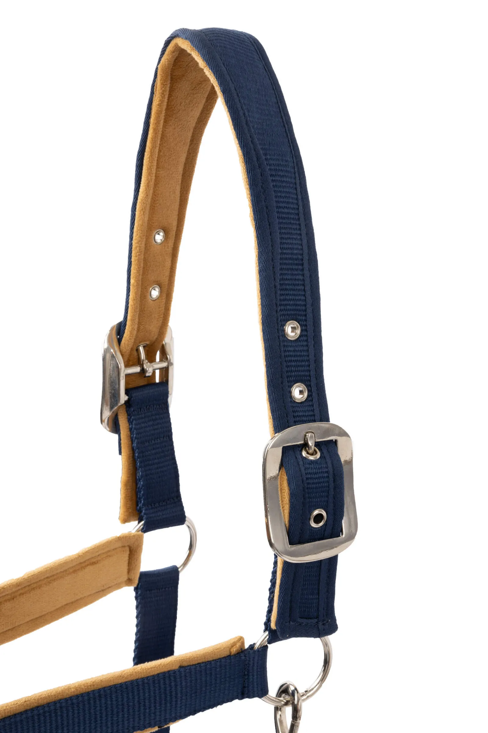 Fashion Delémont Shaped Halter Headcollars & Halters