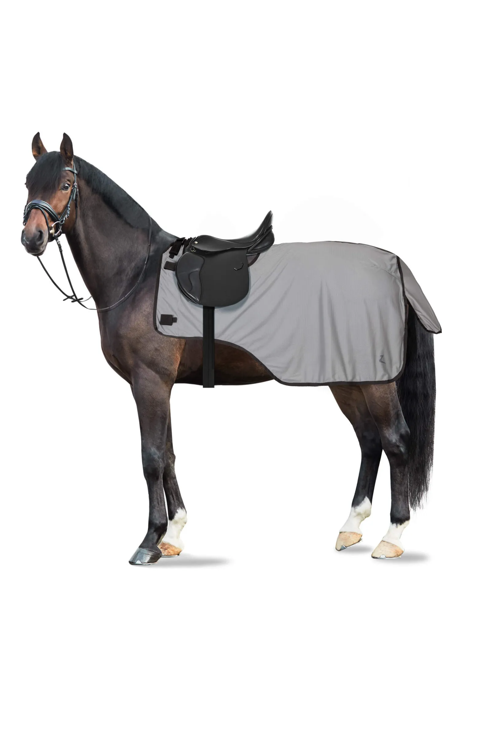 Online Eira Fly Riding Rug with Detachable Neck Fly Rugs|Fly Rugs