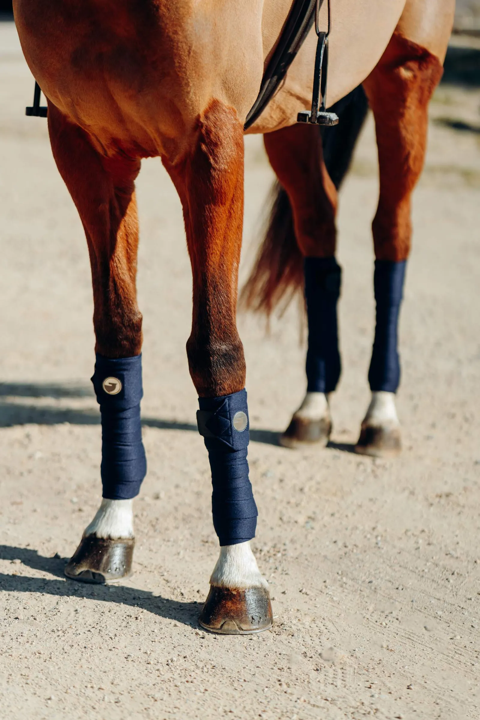 Best Ella Pony Bandages Horse Bandages