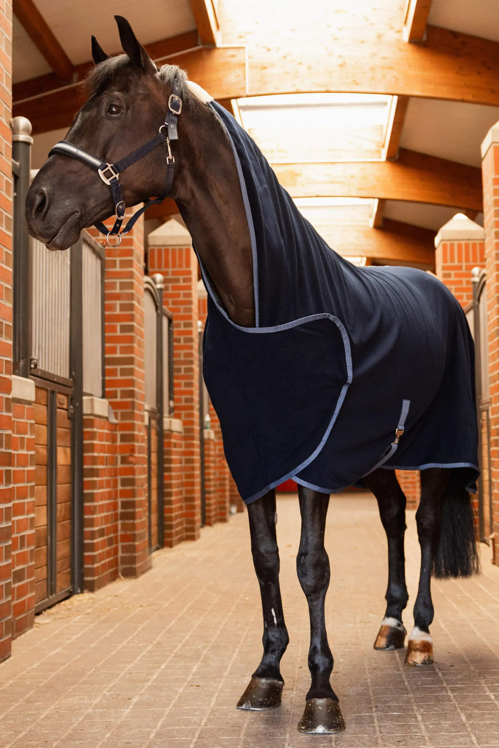 Hot Eternal Gaze Fleece cooler Fleece Horse Rugs & Cooler Rugs