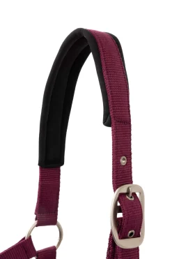 New Eternal Gaze Halter Set Headcollars & Halters