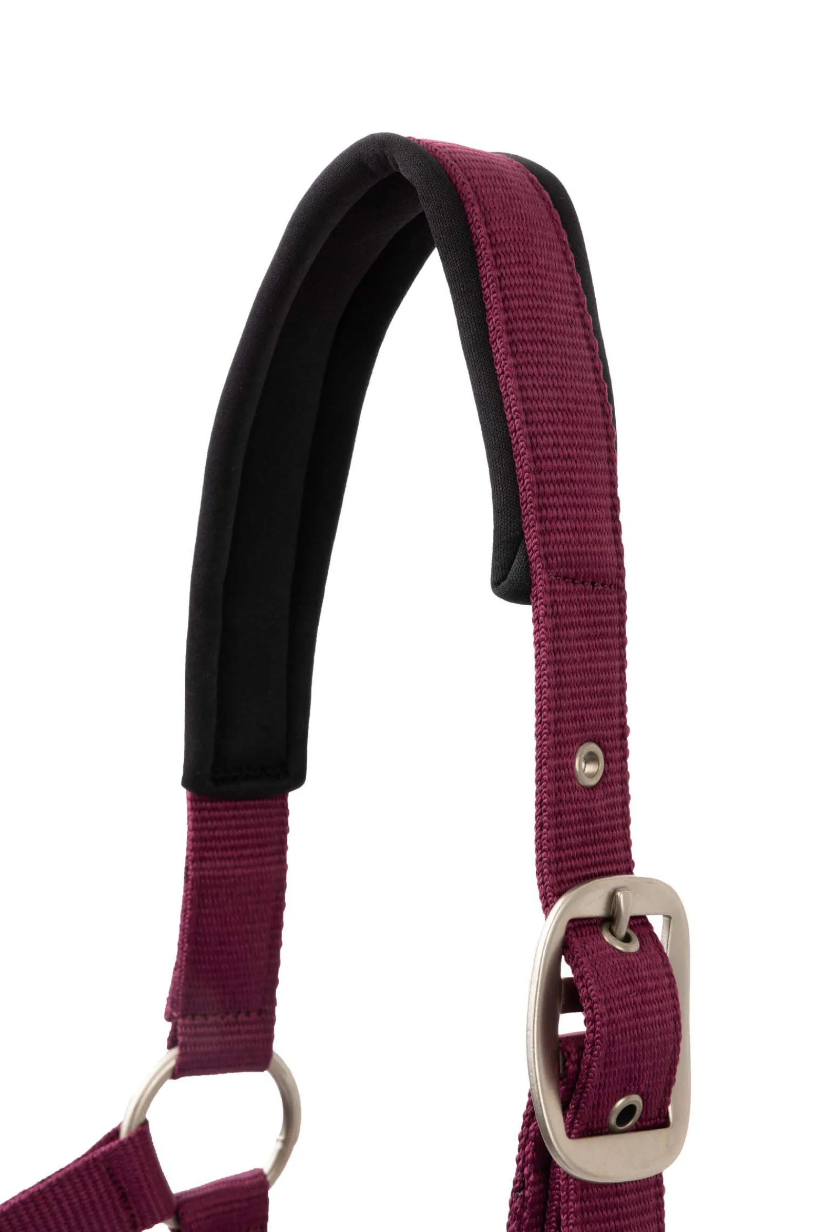 New Eternal Gaze Halter Set Headcollars & Halters