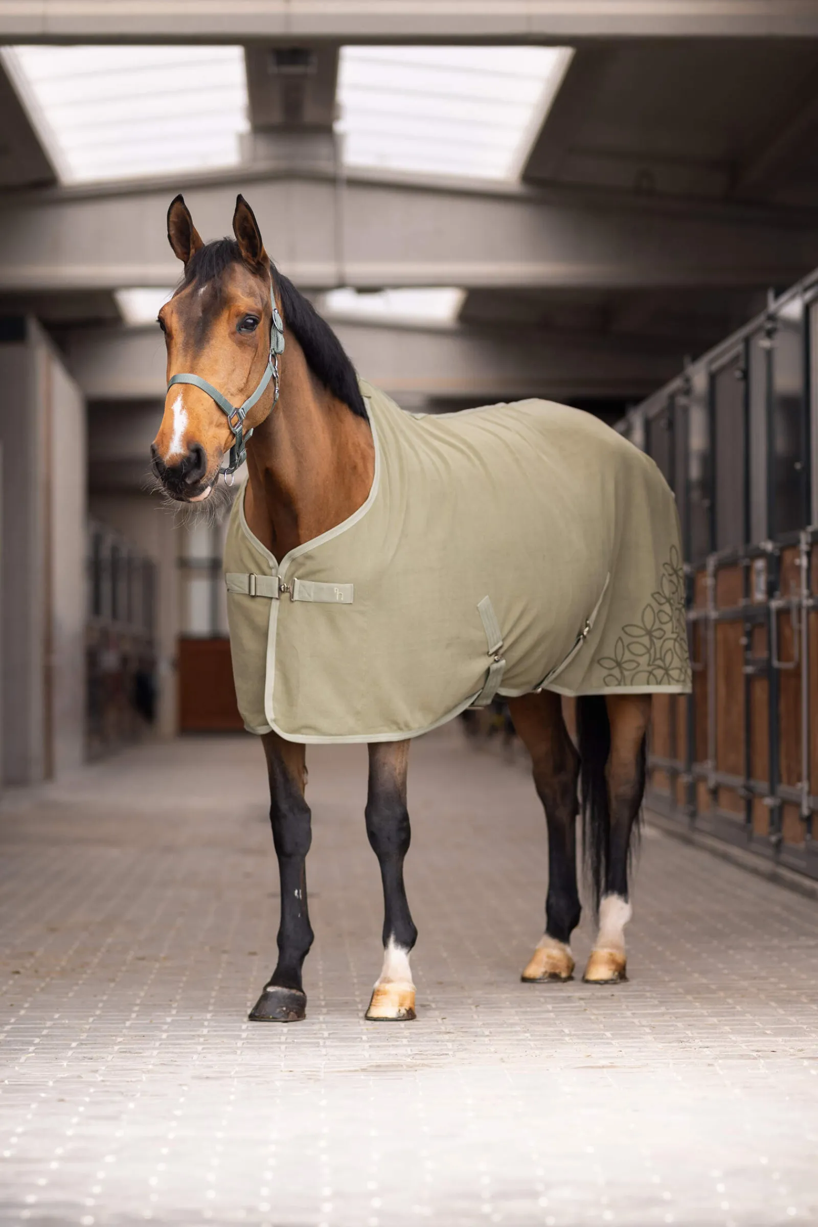 Discount Fanciful Nature Fleece Cooler Fleece Horse Rugs & Cooler Rugs