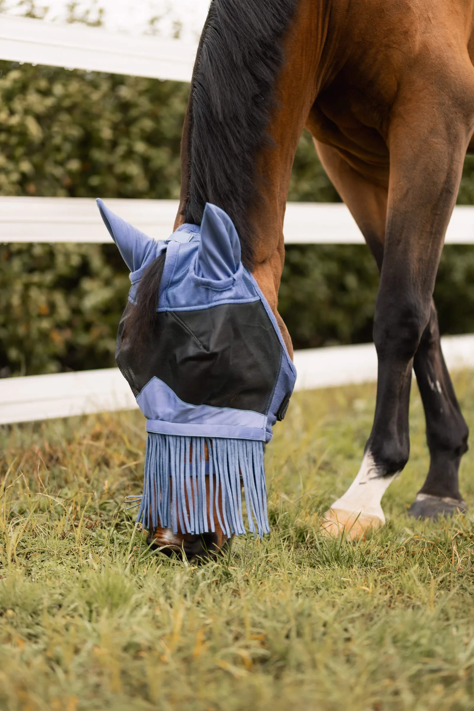 Sale Fly Mask with Fringed Nose Fly Masks & Fringes|Fly Masks & Fringes