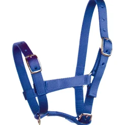 Discount Foal Halter Headcollars & Halters