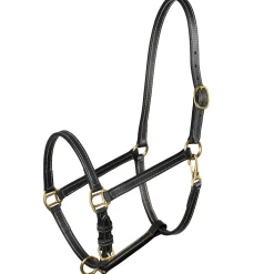 New Fremont Leather Halter Leather Headcollars