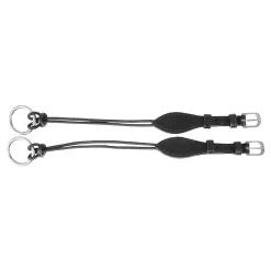 Online Gag Cheeks Bit Accessories