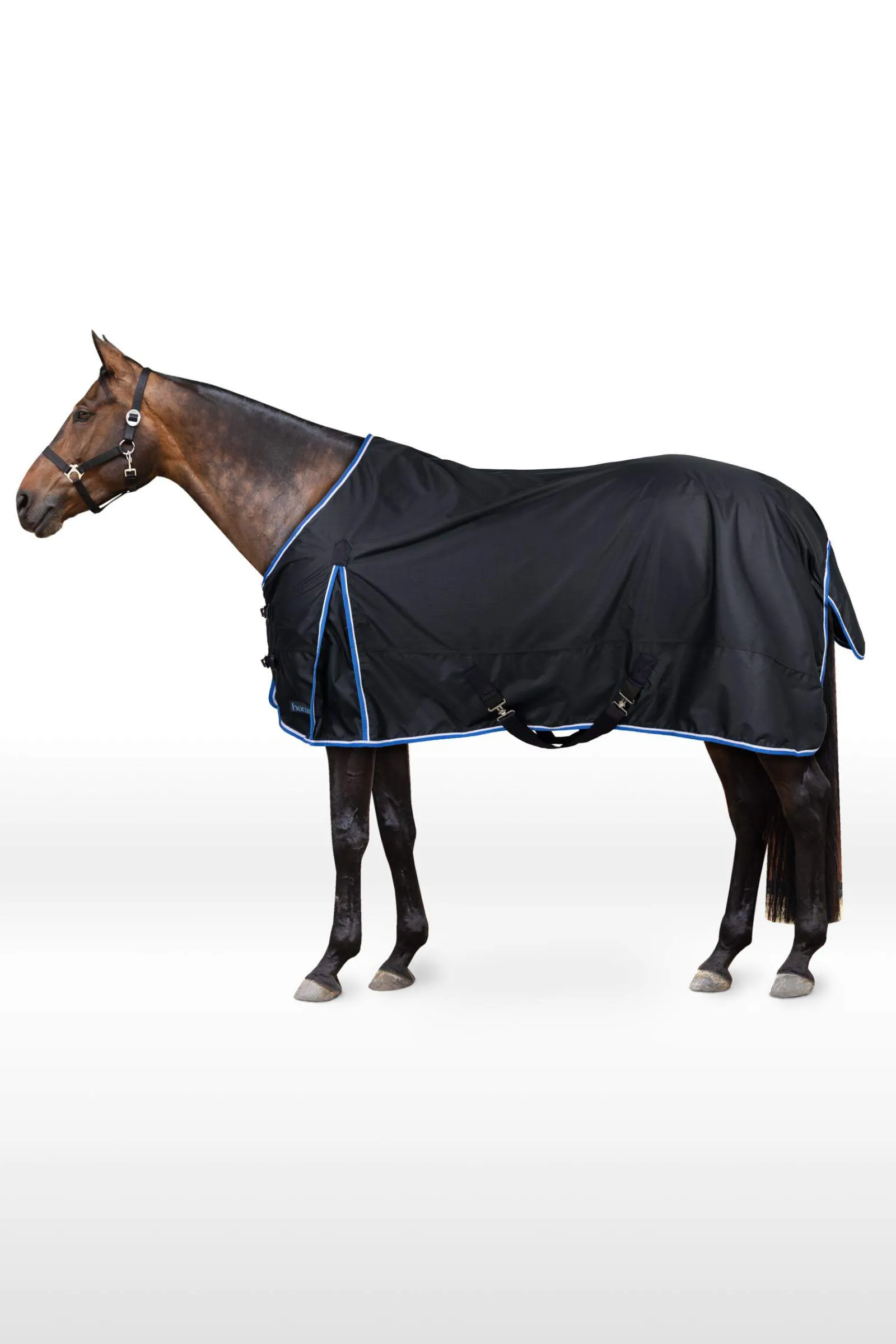Fashion Glasgow Rain Turnout Rug, 0g Lightweight Turnout Rugs