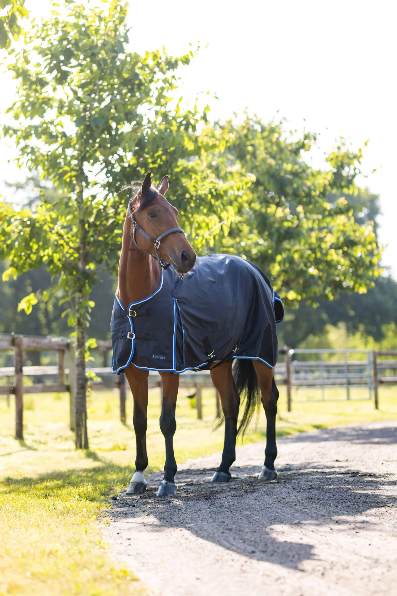 Fashion Glasgow Rain Turnout Rug, 0g Lightweight Turnout Rugs