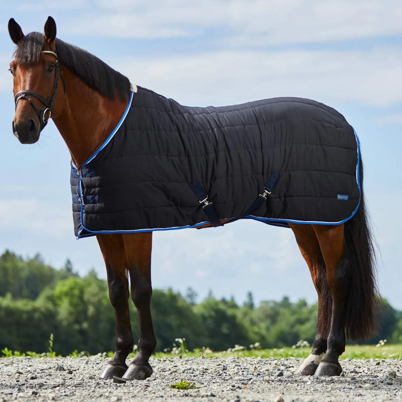 Best Glasgow Stable Rug / Under Rug, 100g Stable Rugs & Liners