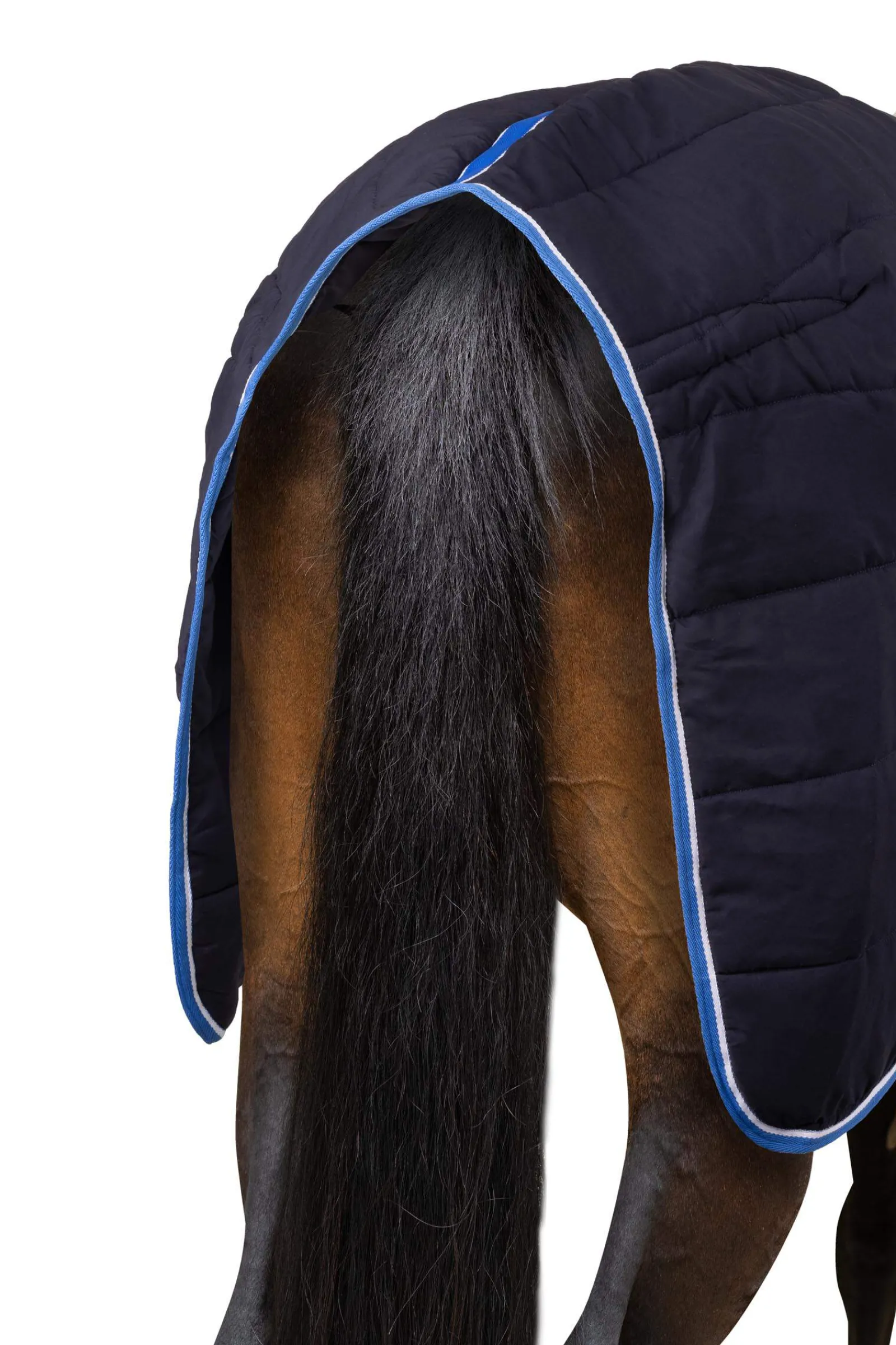 Outlet Glasgow Stable Rug / Under Rug, 200g Stable Rugs & Liners