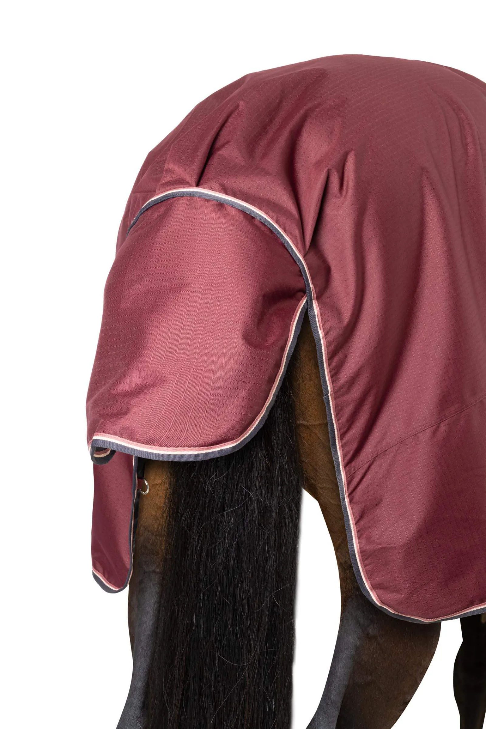 Hot Glasgow Turnout Rug with Fleece Lining and Reflective Accents, 0g Lightweight Turnout Rugs
