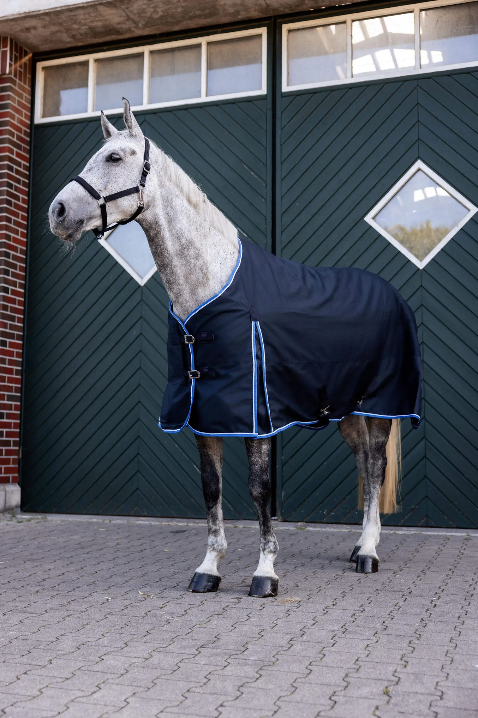 Clearance Glasgow Turnout Rug, 350g Medium & Heavyweight Turnout Rugs