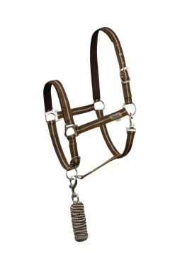 Sale Halter & Lead Set with Metallic Stripes Headcollars & Halters