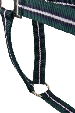 Fashion Halter (Set of 3 pcs) Headcollars & Halters