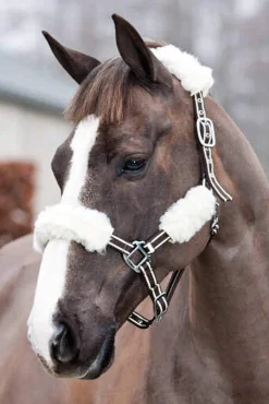 Hot Halter Tubes, 4 pack Headcollars & Halters