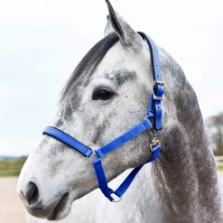 Best Halter with Lining Headcollars & Halters