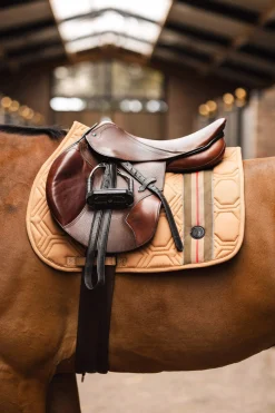 Clearance High Life Jumping Pad Pony Saddle Pads|All Purpose & Jumping Saddle Pads