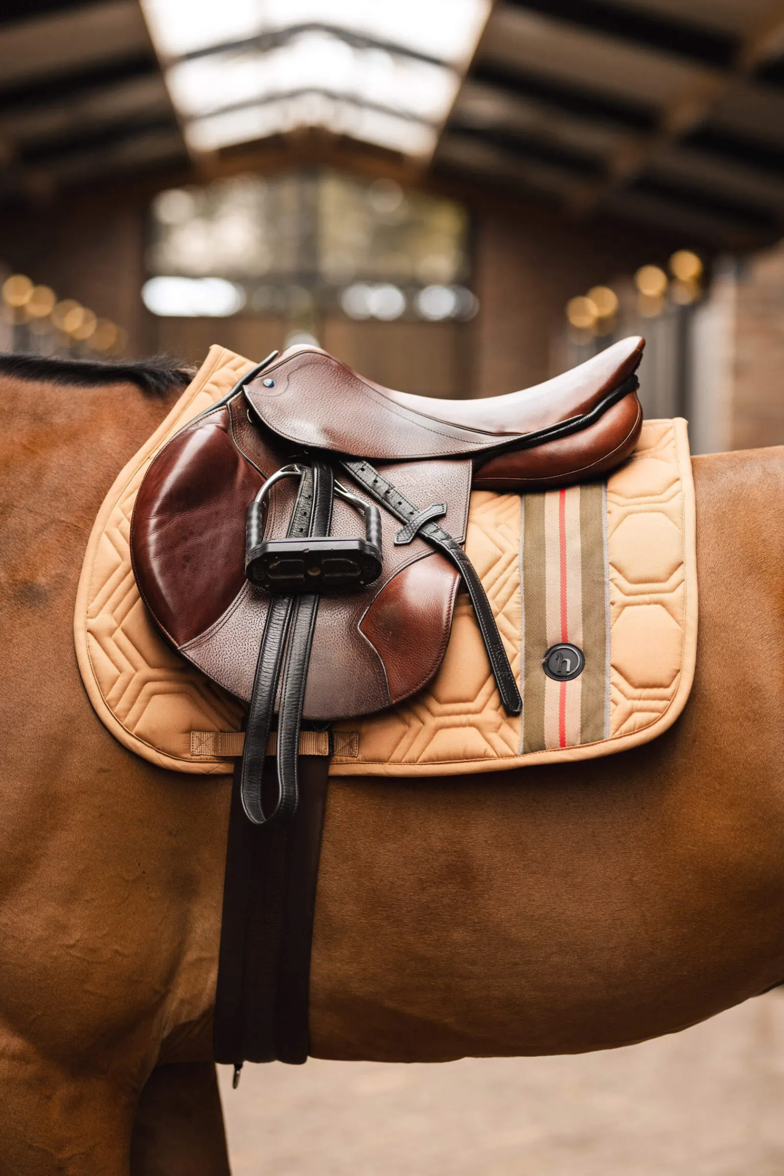 Clearance High Life Jumping Pad Pony Saddle Pads|All Purpose & Jumping Saddle Pads