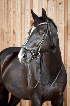 Outlet Highbury Anatomic Bridle with Crystal Brow Band Pony Bridles & Halters|Bridles & Nosebands