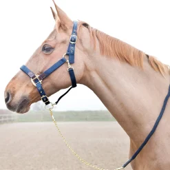 Fashion Holbrook Chain Lead Lead Ropes